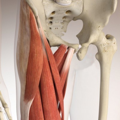 Liesblessure